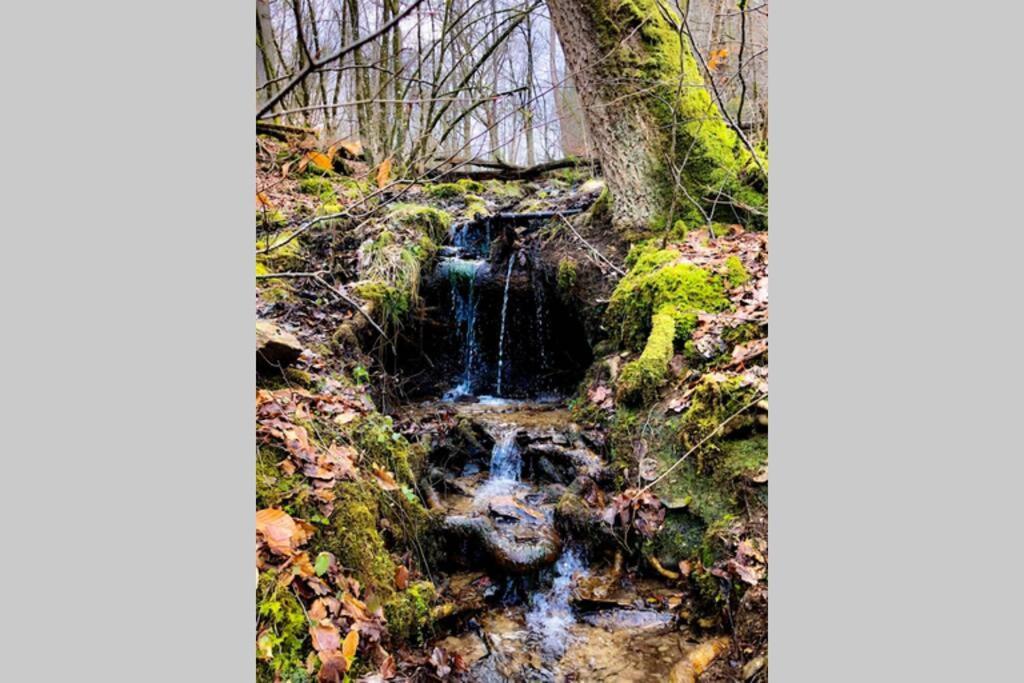 Le Grenier De Charlotte Daire Libin Dış mekan fotoğraf